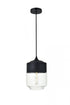 Elegant Lighting Ashwell 1 Light Black Pendant With Clear Glass in Black and Clear Finish Model: LD2241BK
