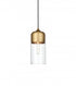 Elegant Lighting Ashwell 5 inch Pendant Clear Shade in Satin Gold in Satin Gold and Clear Finish Model: LD2240SG