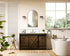 Elegant Lighting Austin Vanity Cabinet 1Dr 4Dw 54 Inch x34 Inch x22 Inch in Expresso Model: VF90554EX