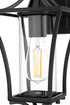 Elegant Lighting Belgrade 7 inch Outdoor Pendant in Black Model: OD311W16BK
