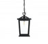 Elegant Lighting Berks 7 inch Outdoor Pendant in Black Model: OD333H12BK