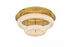 Elegant Lighting Bowen 22 Inch Adjustable LED Flush Mount in Chrome Model: 3800F22L2C