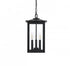 Elegant Lighting Carlisle 7 inch Outdoor Pendant in Black Model: OD325H17BK