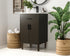 Elegant Lighting Chandler Vanity Cabinet 2Dr W20 Inch xD19 Inch xH34 Inch in Mocha Brown Model: VF25020MMB