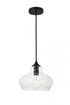 Elegant Lighting Destry 1 Light Black Pendant With Clear Glass in Black and Clear Finish Model: LD2246BK