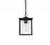 Elegant Lighting Dover 7 inch Outdoor Pendant in Black Model: OD302H11BK