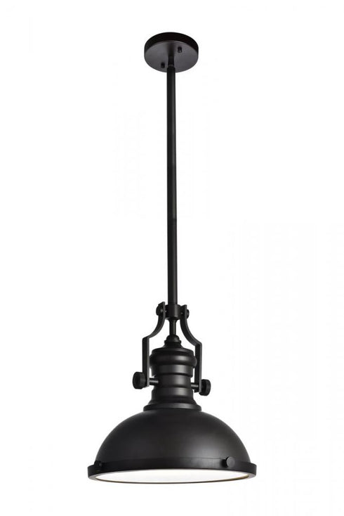 Elegant Lighting Eamon 1 Light matte black Pendant Model: LD5001D13BRB