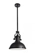 Elegant Lighting Eamon 1 Light matte black Pendant Model: LD5001D13BRB
