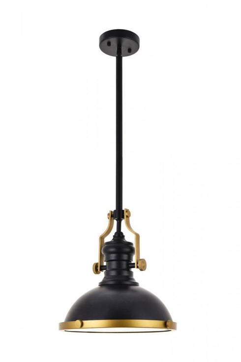 Elegant Lighting Eamon 1 Light matte black Pendant Model: LD5001D13BRB