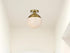 Elegant Lighting Eclipse 10 inch Flush Mount Frosted White Shade in Satin Gold in Satin Gold and Frosted White Finish Model: LD6062SG
