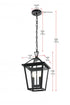 Elegant Lighting Frankford 7 inch Outdoor Pendant in Black Model: OD334H17BK