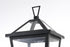 Elegant Lighting Frankford 7 inch Outdoor Pendant in Black Model: OD334P22BK