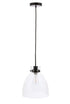 Elegant Lighting Frey 1 light in Black and Clear glass pendant Model: LD5029D11BK