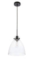 Elegant Lighting Frey 1 light in Black and Clear glass pendant Model: LD5029D11BK
