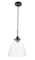 Elegant Lighting Frey 1 light in Black and Clear glass pendant Model: LD5029D11BK