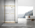 Elegant Lighting Hamilton Frameless Shower Door 48x76 in Brushed Gold Model: SD202-4876BGD
