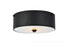 Elegant Lighting Hazen 2 light 12 inch Flat Black flush mount in Flat Black and White Finish Model: LD6024