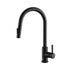 Elegant Lighting Jack Single Handle Pull Down Sprayer Kitchen Faucet in Brushed Gold Model: FAK-302BGD