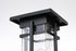 Elegant Lighting Livingston 7 inch Outdoor Pendant in Black Model: OD321P17BK