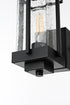 Elegant Lighting Livingston 7 inch Outdoor Pendant in Black Model: OD321W13BK