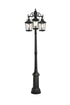 Elegant Lighting Luz 84 inch Outdoor Post light with pole in Black in Black and Clear Finish Model: OD605P84BK