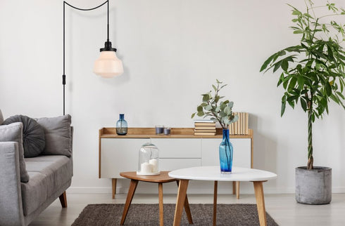 Elegant Lighting Lye Lyle 1 light Black and frosted white glass plug in pendant Model: LDPG6255BK