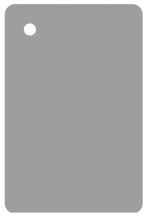 Elegant Lighting Mirror Metal Finish Sample in Silver Model: MTMR-201-GR