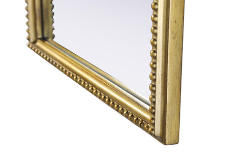 Elegant Lighting Naomi Vintage Resin Mirror 22x30 Inch in Antique Brass Model: MR7F2230AB