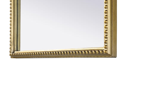 Elegant Lighting Naomi Vintage Resin Mirror 24x36 Inch in Antique Brass Model: MR7F2436AB