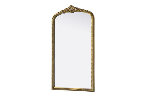 Elegant Lighting Naomi Vintage Resin Mirror 24x42 Inch in Antique Brass Model: MR7F2442AB