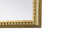 Elegant Lighting Naomi Vintage Resin Mirror 24x42 Inch in Antique Brass Model: MR7F2442AB