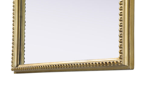 Elegant Lighting Naomi Vintage Resin Mirror 27x42 Inch in Antique Brass Model: MR7F2742AB