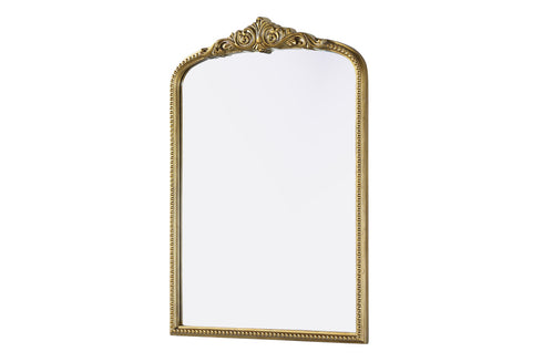 Elegant Lighting Naomi Vintage Resin Mirror 30x42 Inch in Antique Brass Model: MR7F3042AB