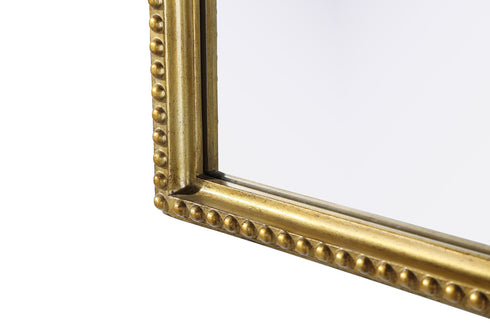 Elegant Lighting Naomi Vintage Resin Mirror 30x72 Inch in Antique Brass Model: MR7F3072AB
