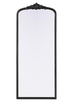 Elegant Lighting Naomi Vintage Resin Mirror 30x72 Inch in Vintage Bronze Model: MR7F3072VB