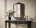 Elegant Lighting Naomi Vintage Resin Mirror 33x42 Inch in Vintage Bronze Model: MR7F3342VB