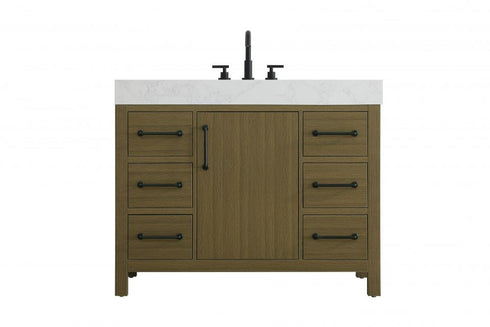 Elegant Lighting Nathan Vanity Cabinet 1DR 6DW 42 Inch W x 22 Inch D x 34 Inch H in Chestnut Brown Model: VF60642MCB