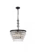 Elegant Lighting Nordic 5 Light Pendant Model: 1219D19BR/RC
