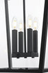 Elegant Lighting Oxford 7 inch Outdoor Pendant in Black Model: OD334H27BK