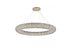 Elegant Lighting Paris 30 Light Chandelier Model: 2114G71G/RC