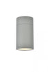 Elegant Lighting Raine Outdoor Wall in black Model: LDOD4039BK