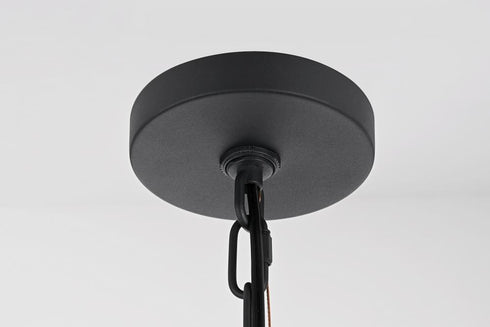 Elegant Lighting Riggs 8 x 15 inch Outdoor Pendant in Black Model: OD502H15BK