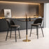Elegant Lighting Ronan Pub Table Rectangle 24 Inch x 28 Inch x H39.5 Inch Black in Black and Gold Finish Model: AF11R2428BK