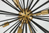 Elegant Lighting Timber 8 light in Brass and Black pendant Model: LD5038D30BK