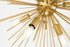 Elegant Lighting Timber 8 light in Brass pendant Model: LD5036D20BR