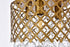 Elegant Lighting Tully 3 lights brass flush mount in Brass and Clear Finish Model: LD5010F10BR