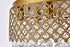 Elegant Lighting Tully 6 lights brass flush mount in Brass and Clear Finish Model: LD5010F18BR