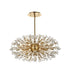 Elegant Lighting Vera 42 inch crystal starburst oval pendant in black Model: 2550D42BK