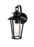 Elegant Lighting Wensley 7 inch Outdoor Pendant in Black Model: OD326W13BK