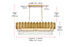 Elegant Lighting Willow 12 Light Pendant L47 Inch W14 Inch H14 Inch L12 Satin Gold in Satin Gold and Clear Finish Model: 3401G47SG